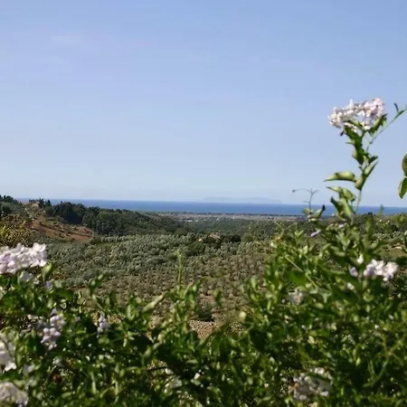 Vigna Frati بيت للعطل كاسال ماريتيمو