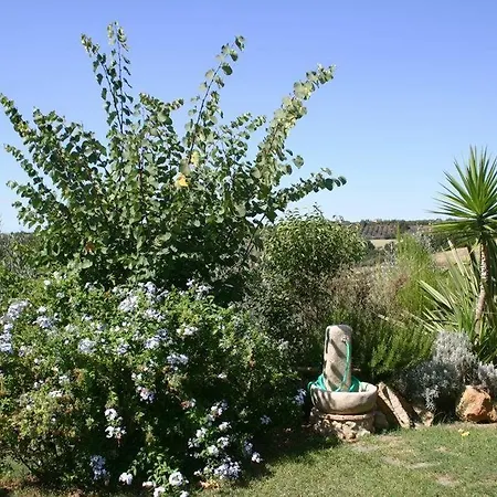 Vigna Frati بيت للعطل