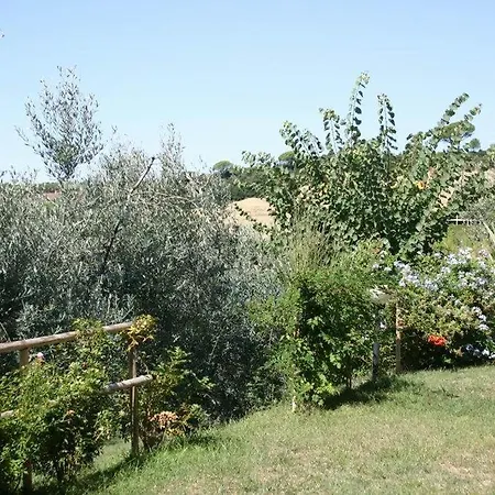 Vigna Frati